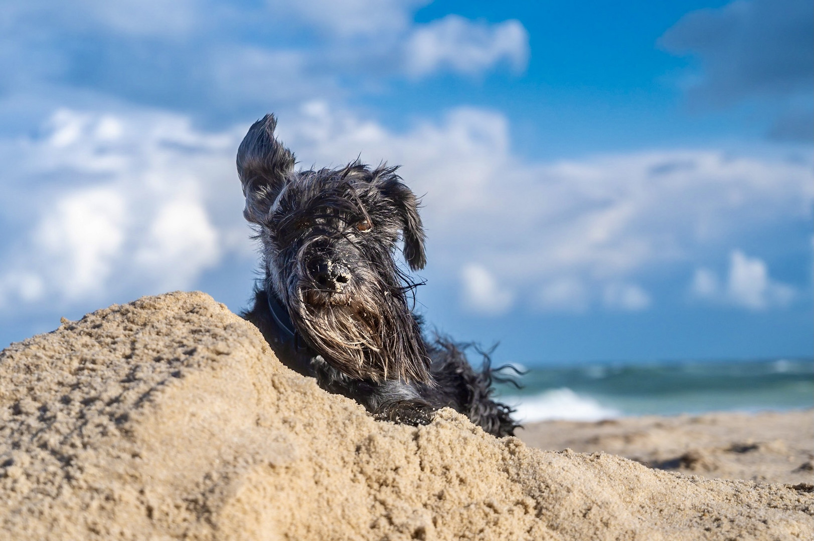 Wind im Haar