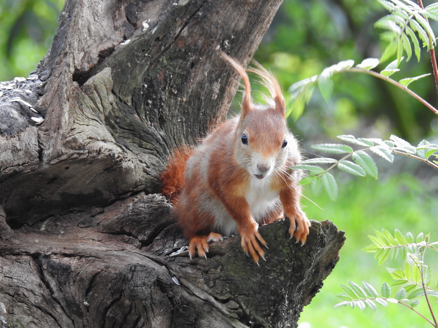 "Wind im Haar"....