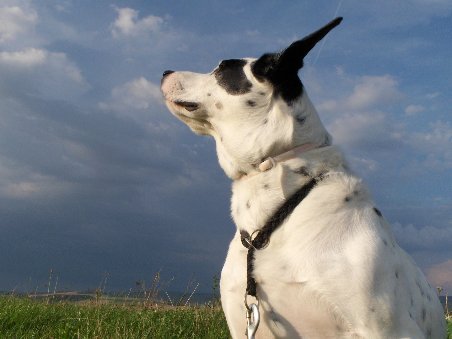 Wind im Ohr