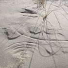 wind im sand