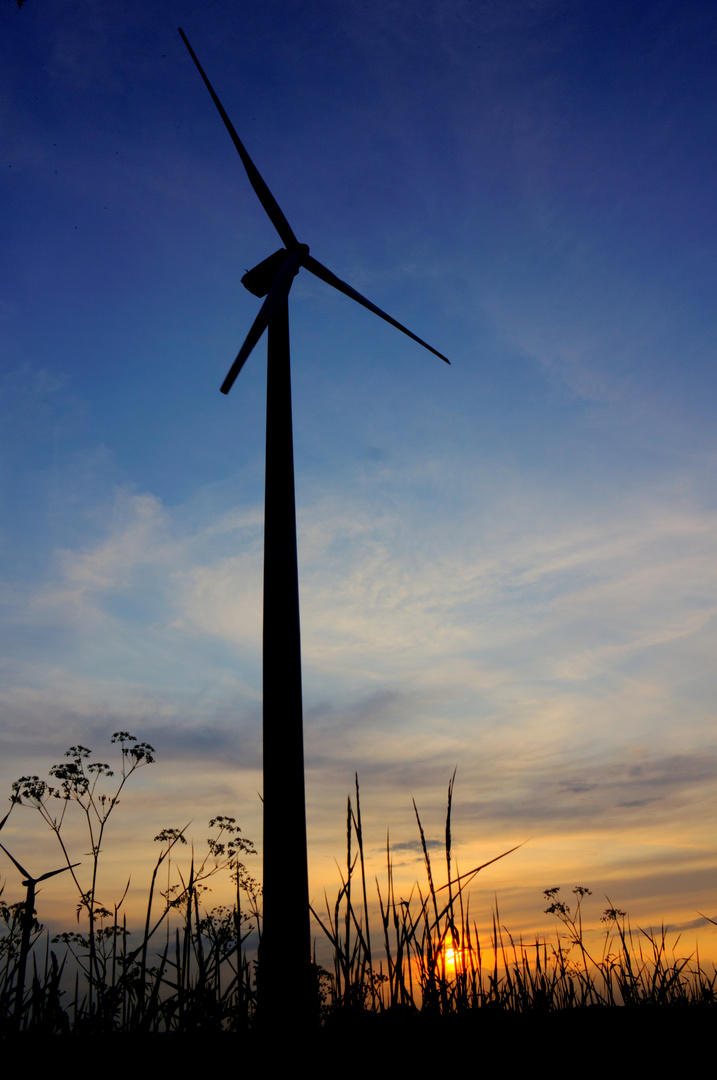 Wind im Sonnenuntergang