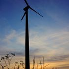 Wind im Sonnenuntergang