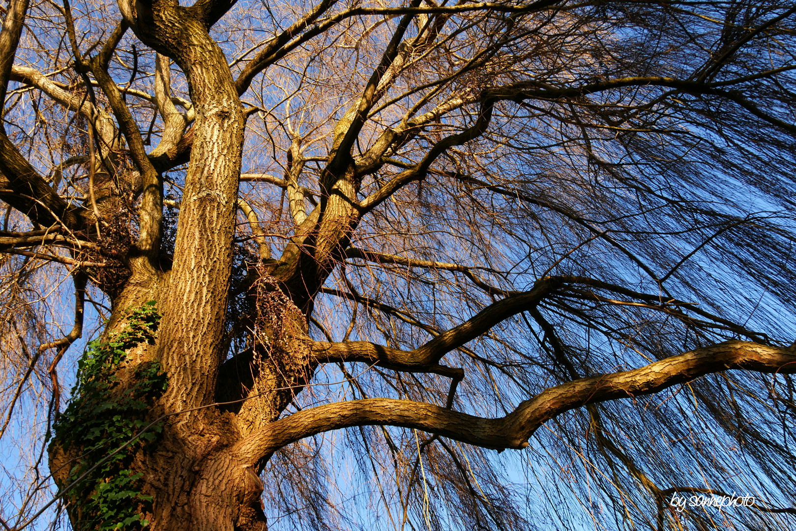 Wind - in Bewegung