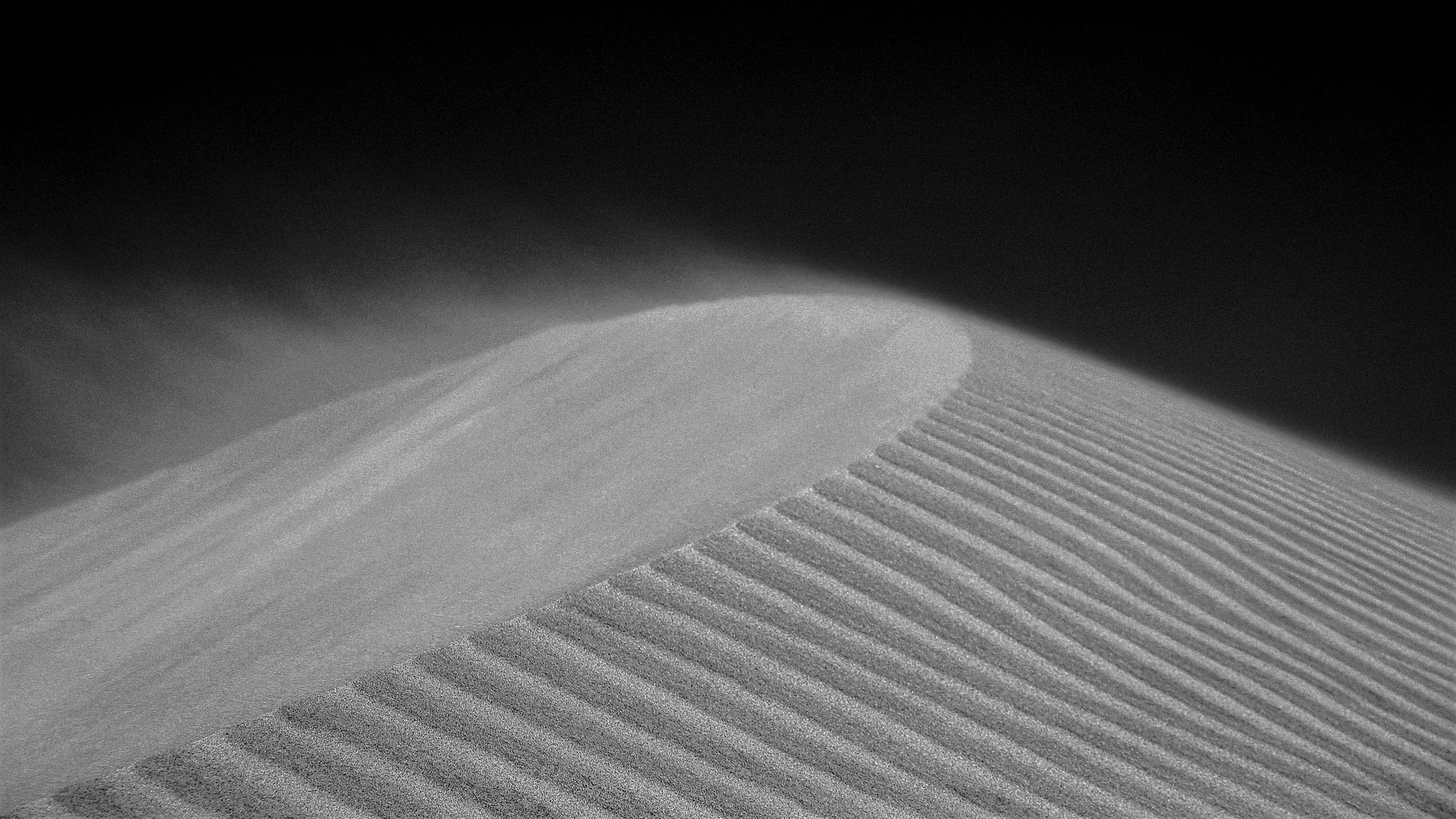 Wind in den Dünen