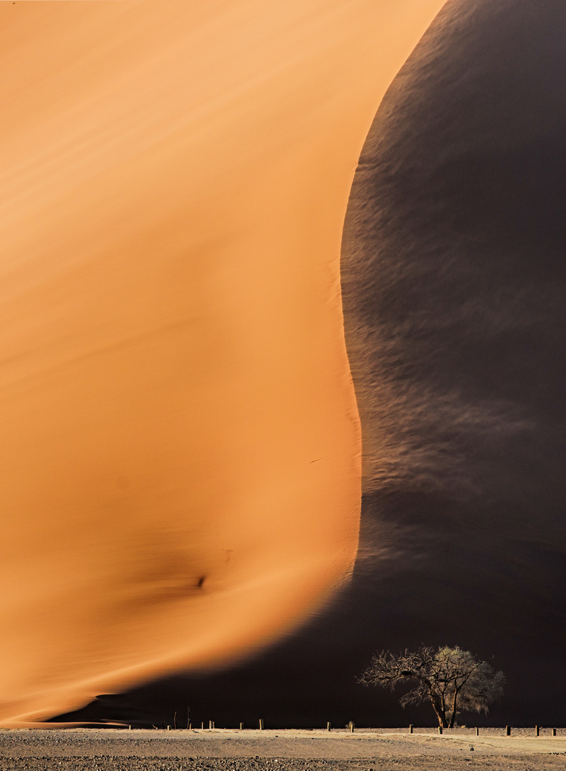 Wind in den Dünen