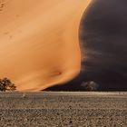 Wind in den Dünen