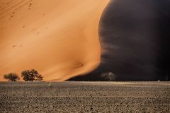 Wind in den Dünen