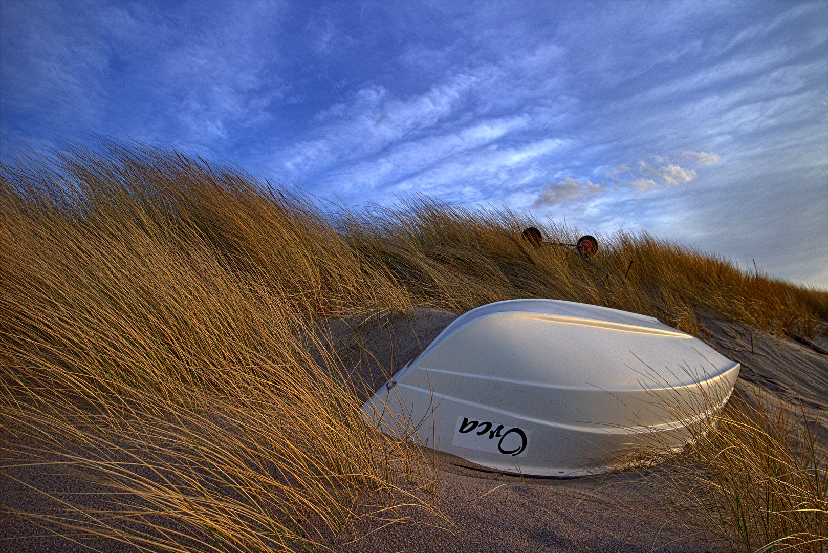 Wind in den Dünen