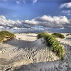 Wind in den Dünen...