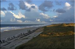 WIND IN DEN DÜNEN Teil 2