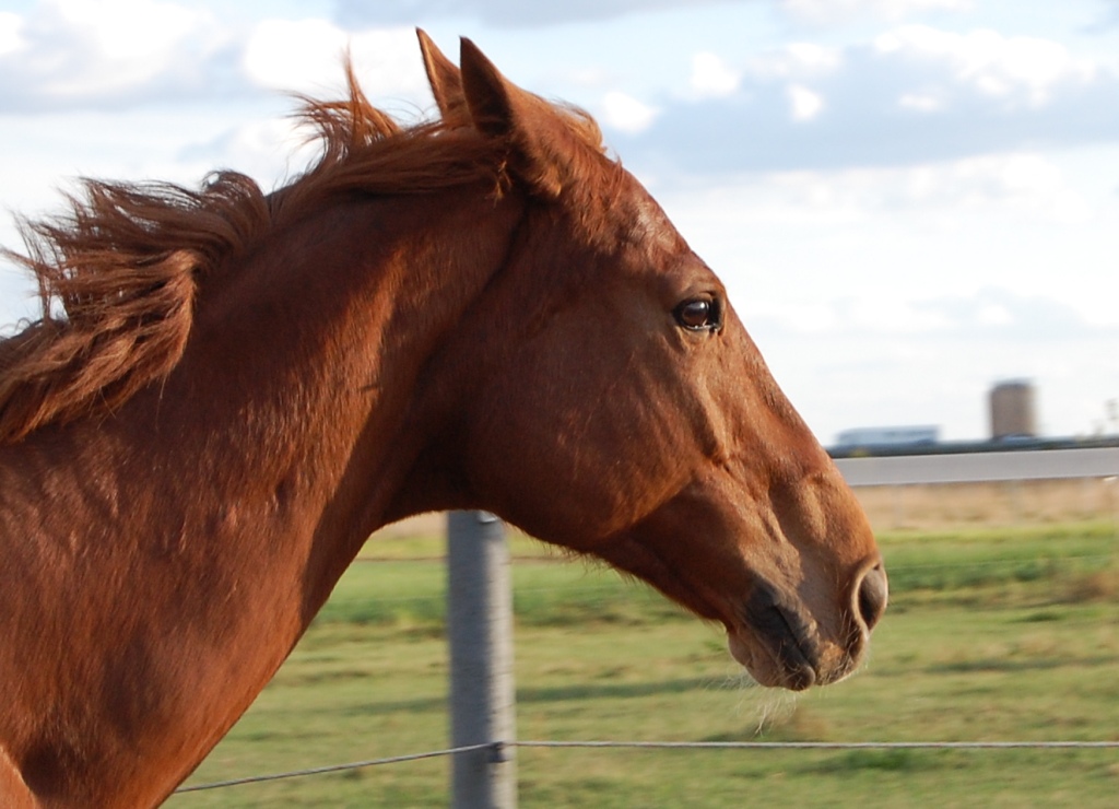 Wind in der Nase