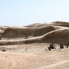 Wind in der Wüste