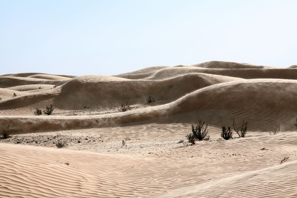Wind in der Wüste