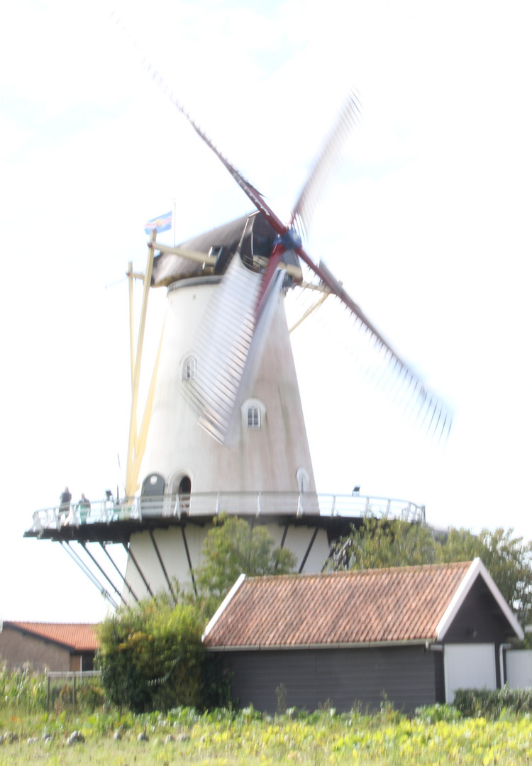 Wind in Holland