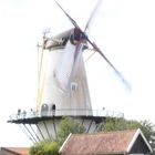 Wind in Holland