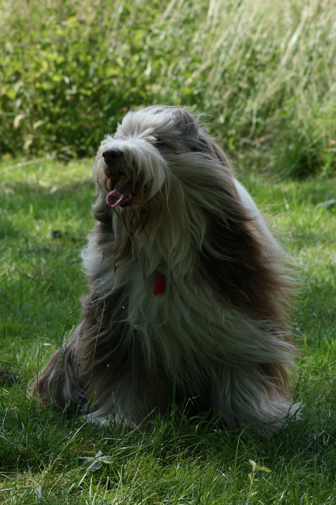 Wind in meinem Haar.