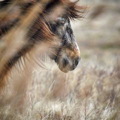 Wind in seinem Haar