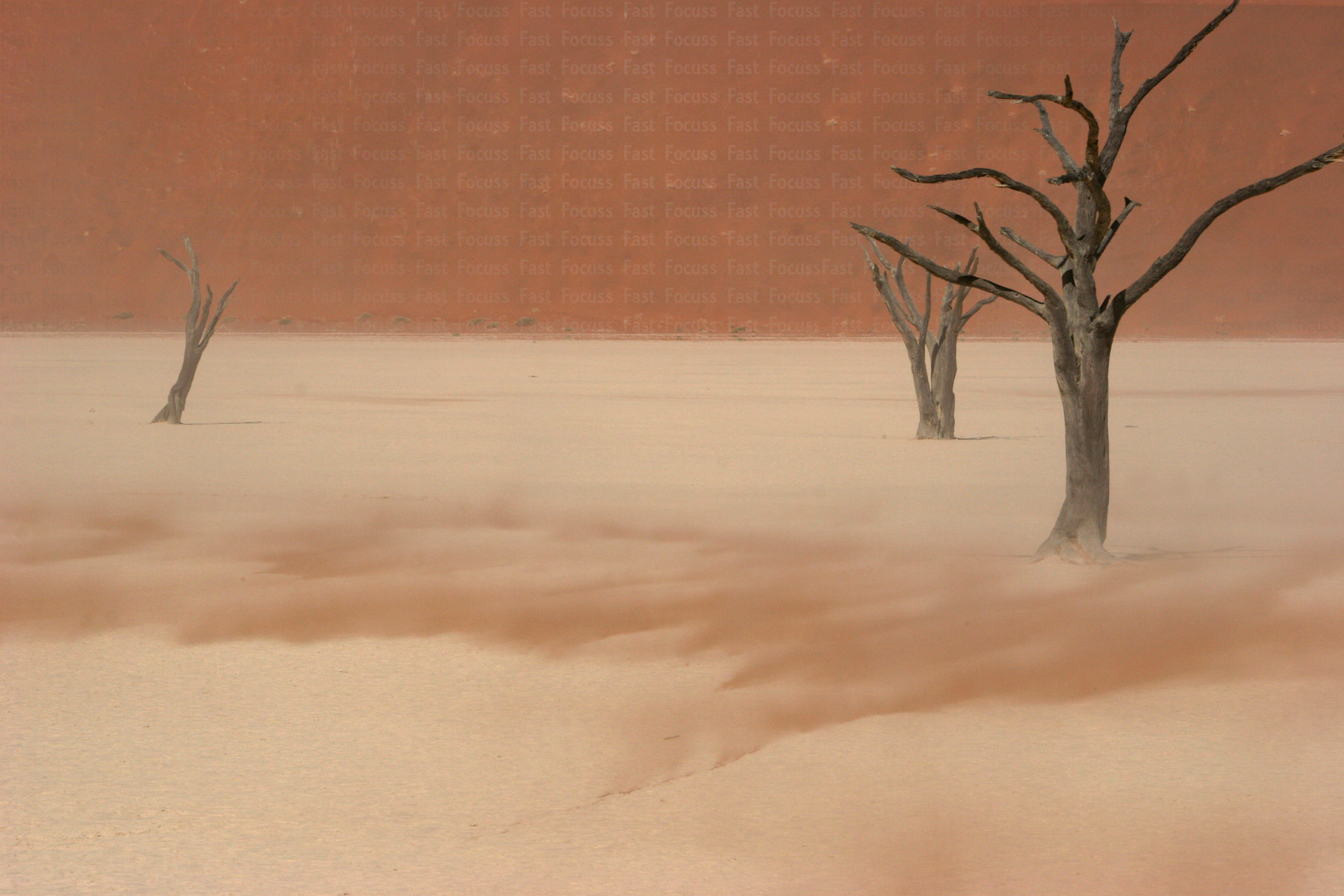 Wind in Sossusvlei