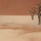 Wind in Sossusvlei