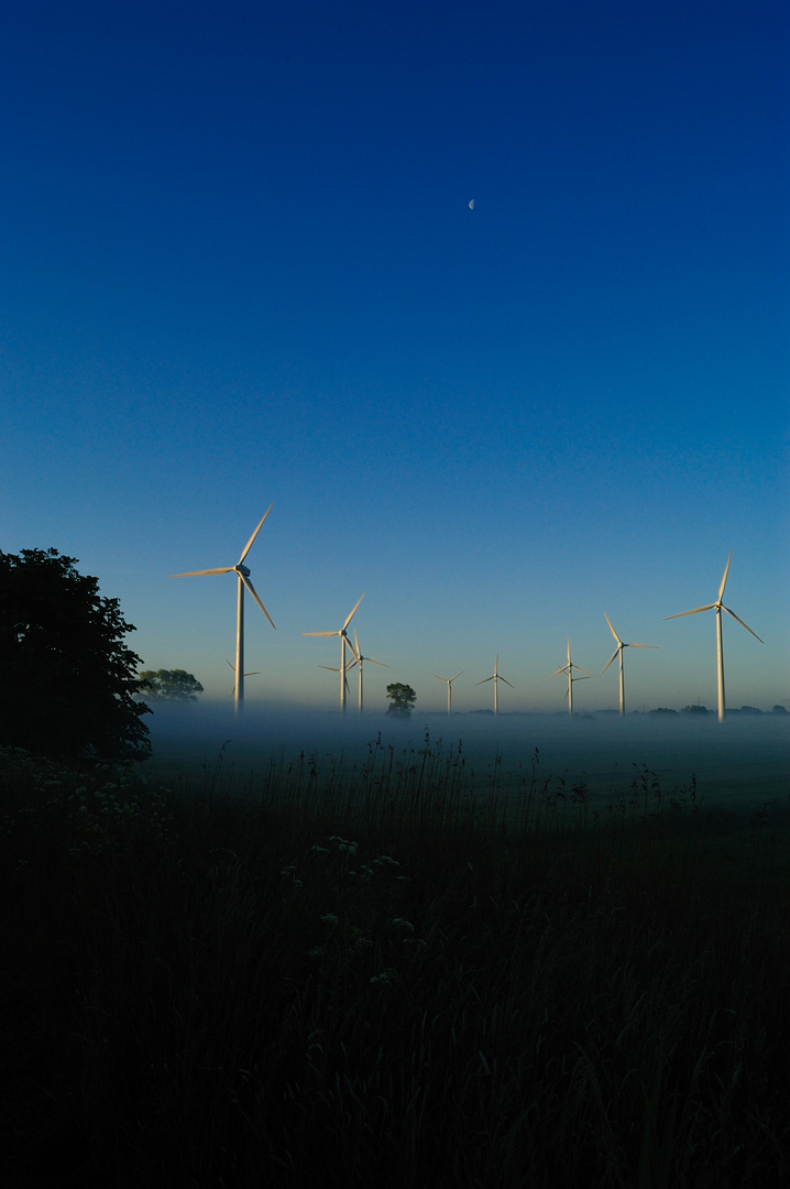 Wind-Kraft-Feld