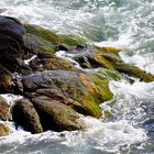 Wind-lashed shoreline