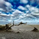 wind made beach sculpture