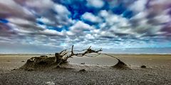 wind made beach sculpture