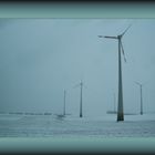 Wind-Park