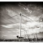 wind power