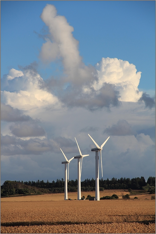 wind power