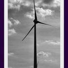 wind power with offshoot