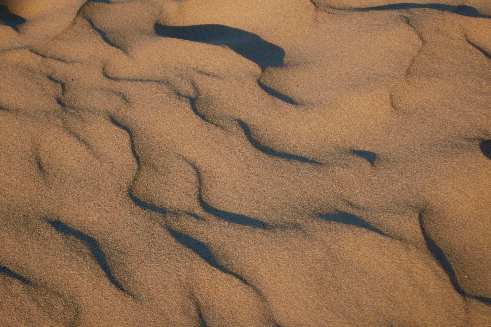 Wind & Sand