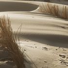 Wind, sand and dunes