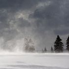 Wind, Schnee und Eiseskälte