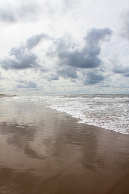 Wind, Sonne, Strand und Meer