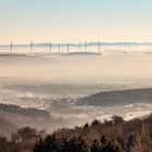 Wind-Spargel-Landschaft