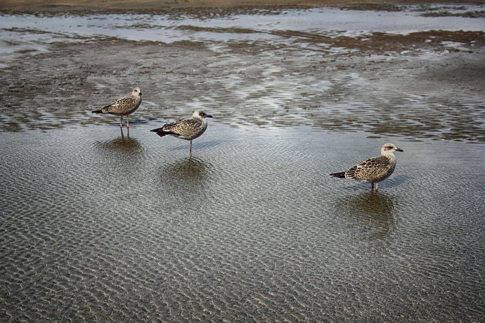 Wind-Stille