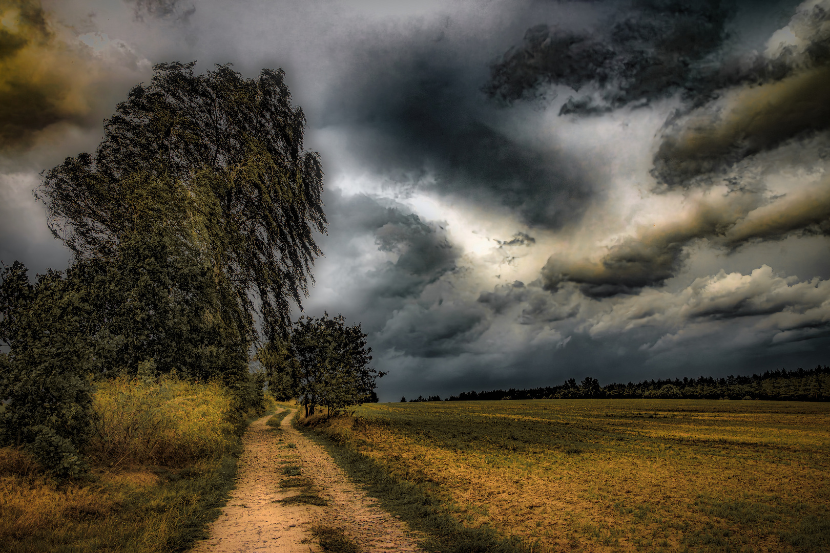 Wind trägt alle Worte fort ...