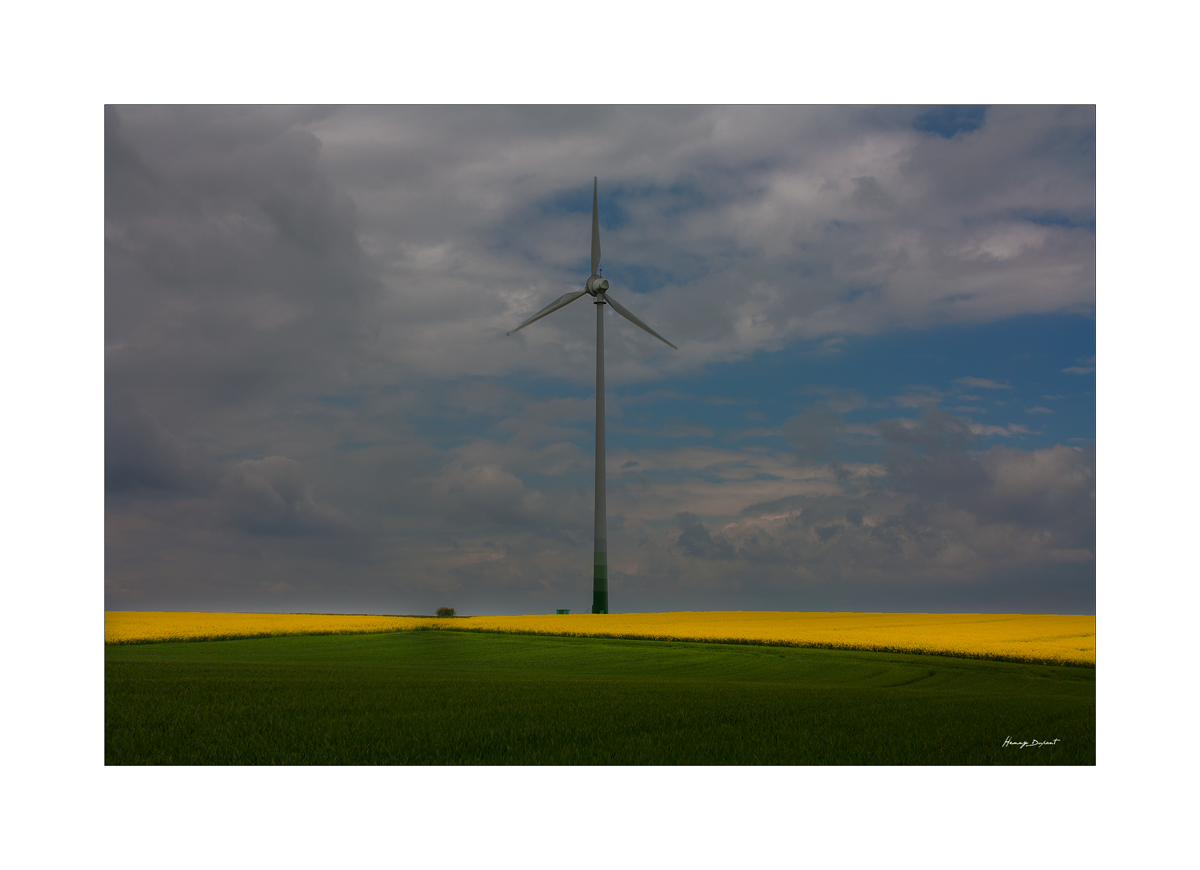 wind turbine