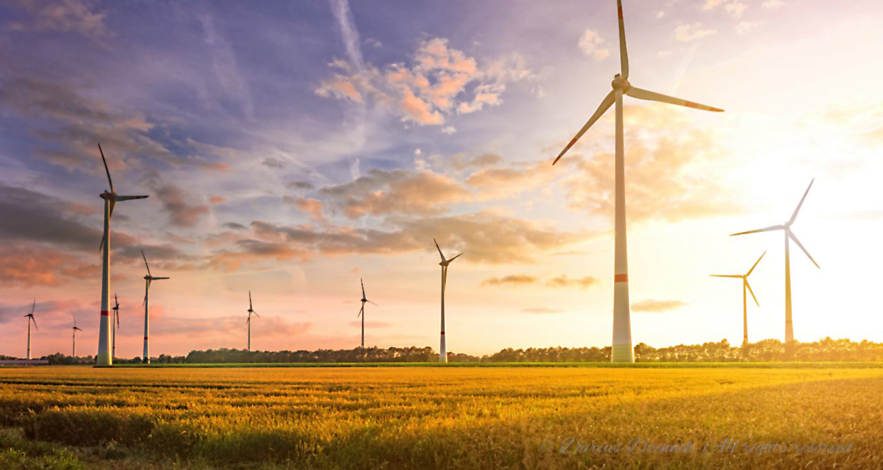 wind turbine field