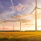 wind turbine field