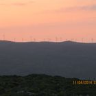 Wind Turbine Sunset