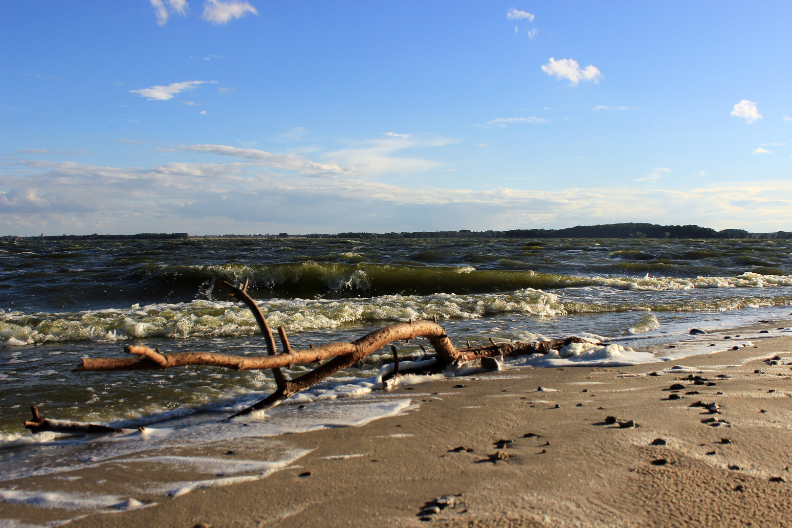 Wind über dem Achterwasser