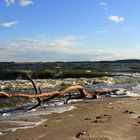 Wind über dem Achterwasser