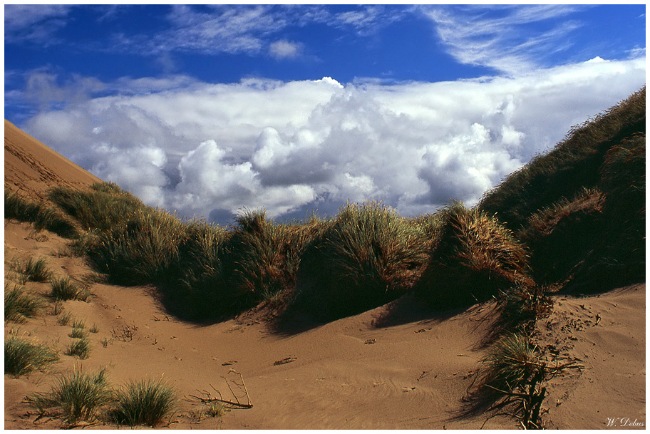 Wind über den Dünen