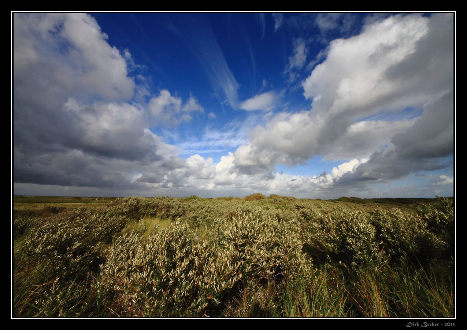 Wind und endlose Weite