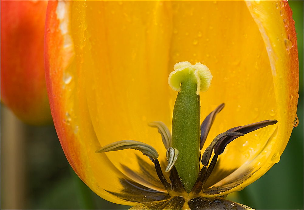 Wind und Regen....