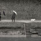 Wind- und Regenwetter