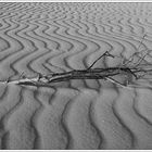 Wind und Sand