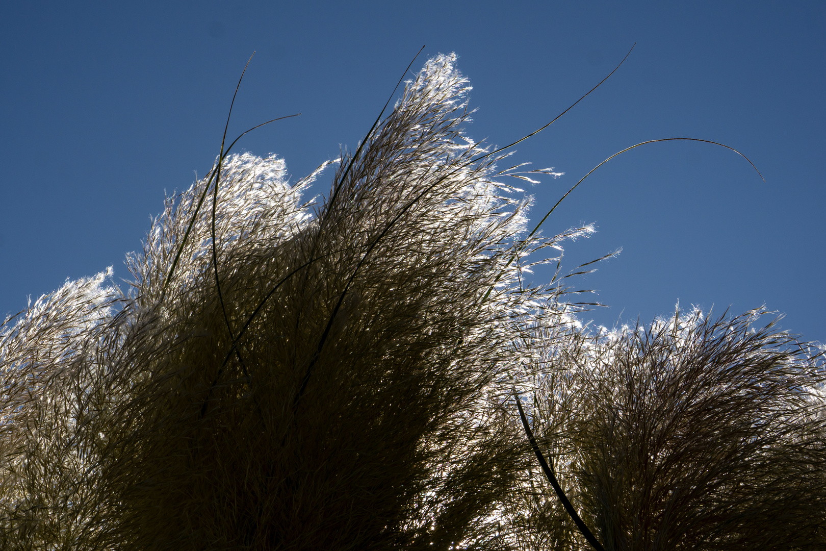 Wind und Sonne